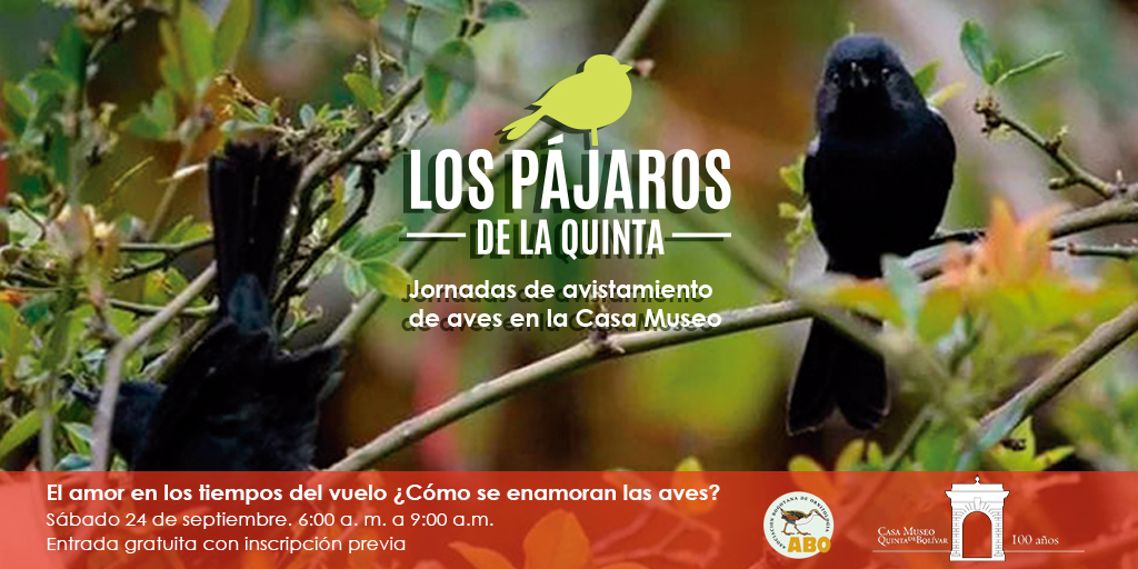 12. Avistamiento aves.jpg