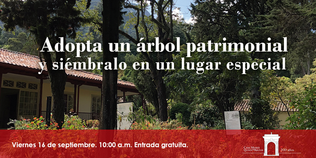 3. Adopta un arbol.jpg